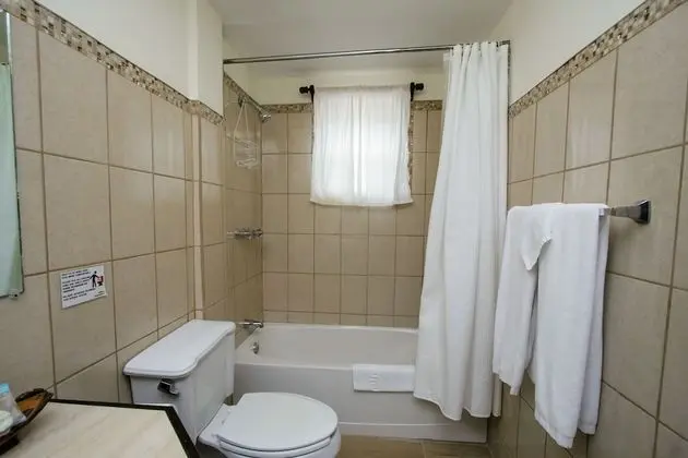 Standard Stüdyo Süit, 1 En Büyük (King) Boy Yatak, Plaj Manzaralı, Denize Sıfır