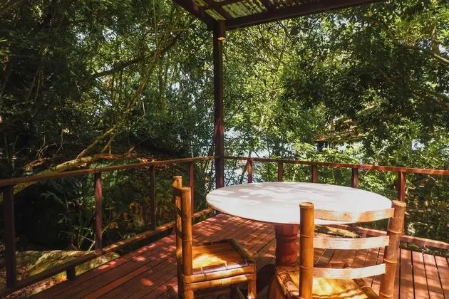 Premier Tek Büyük Yataklı Oda, 1 En Büyük (King) Boy Yatak, Teras