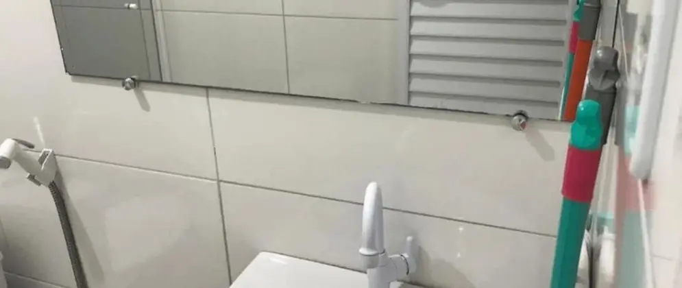 Basic Süit