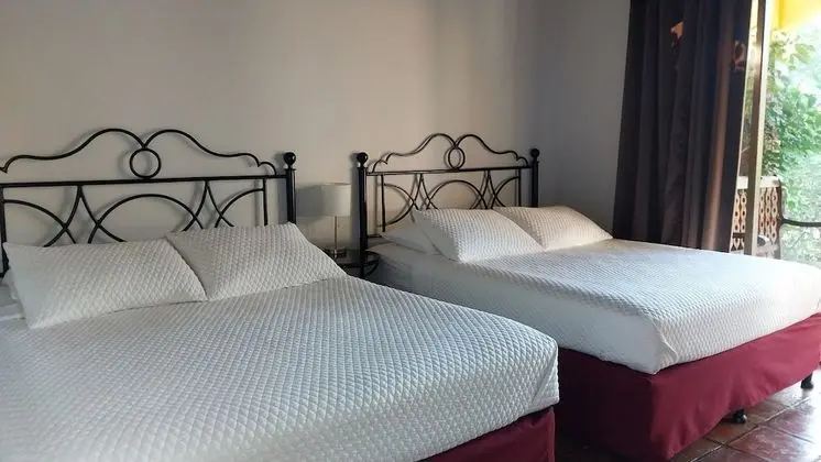 Deluxe Dört Kişilik Oda, 1 Yatak Odası, Havuz Manzaralı