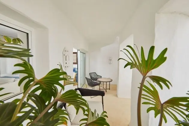 Preferred C.Junior Suite Ocean View (1+1 )