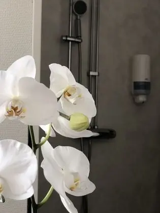 Tek Kişilik Oda (Shared Bathroom)