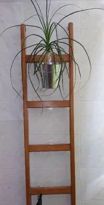 Apart Daire (Jase - nice view - A1(3+2))