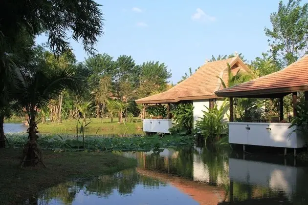 Superior Tek Büyük veya İki Ayrı Yataklı Oda, Bahçe Manzaralı, Bahçeli