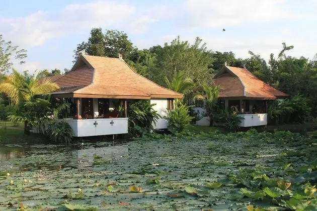 Superior Tek Büyük veya İki Ayrı Yataklı Oda, Bahçe Manzaralı, Bahçeli