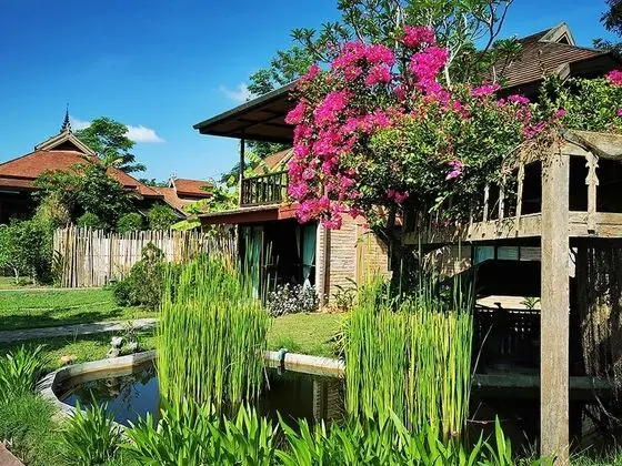 Superior Tek Büyük veya İki Ayrı Yataklı Oda, Bahçe Manzaralı, Bahçeli