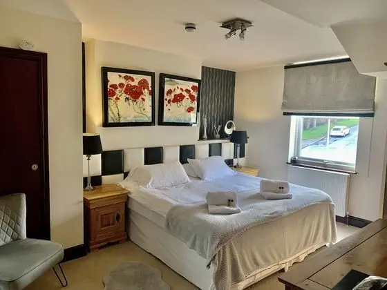 Standard Tek Büyük Yataklı Oda, Banyolu/Duşlu