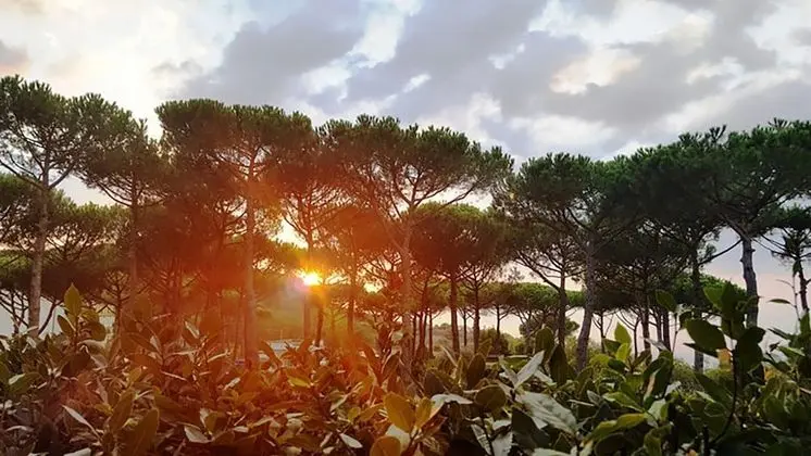 Villa, Sigara İçilebilir