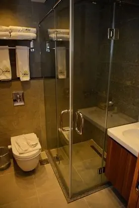 Deluxe Tek Büyük veya İki Ayrı Yataklı Oda