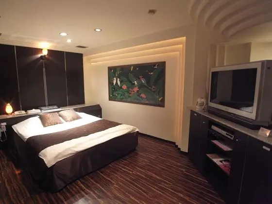 Standard Tek Büyük Yataklı Oda, Sigara İçilebilir (Love Hotel)