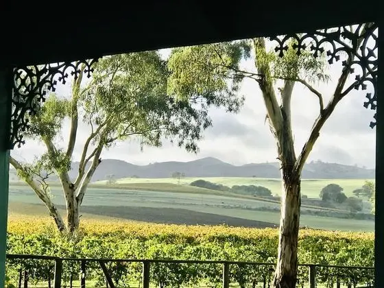 Kır Evi, 2 Yatak Odası, Üzüm Asması Manzaralı