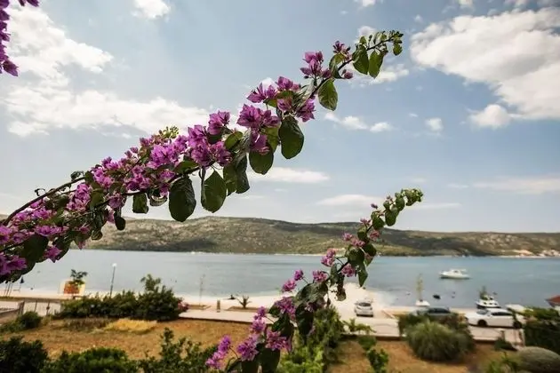 Apart Daire (Jasna - 20m from the sea - A1(4+1))