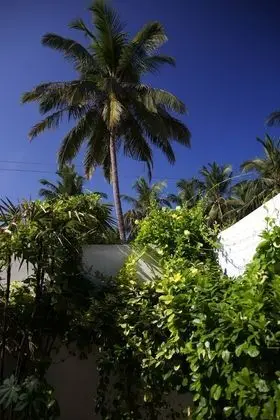 Deluxe Tek Büyük Yataklı Oda, Bahçe Manzaralı