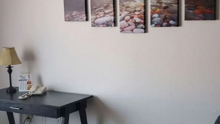 Standard Süit, 1 En Büyük (King) Boy Yatak ve Çekyat (with Pull out Couch, Non-pet friendly)