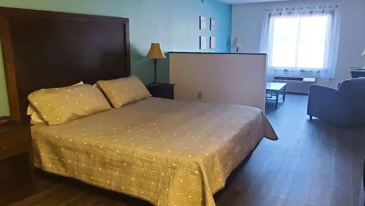 Standard Süit, 1 En Büyük (King) Boy Yatak ve Çekyat (with Pull out Couch, Non-pet friendly)