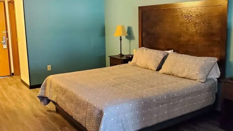 Standard Süit, 1 En Büyük (King) Boy Yatak ve Çekyat (with Pull out Couch, Non-pet friendly)