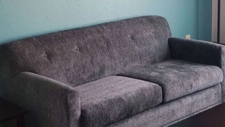 Standard Süit, 1 En Büyük (King) Boy Yatak ve Çekyat (with Pull out Couch, Non-pet friendly)