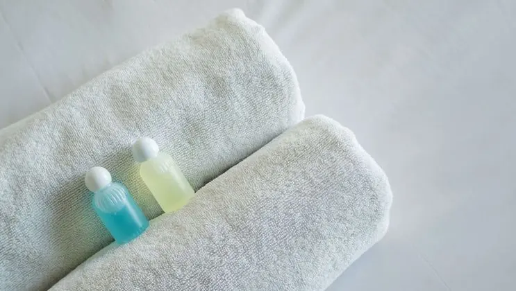 Standard Süit, 1 En Büyük (King) Boy Yatak ve Çekyat (with Pull out Couch, Non-pet friendly)