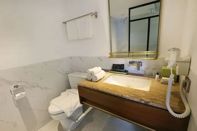 Executive Süit (Room)