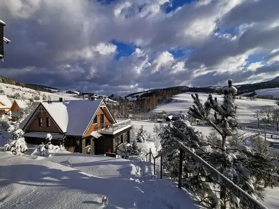 Deluxe Villa (Jaworki Green Dream)