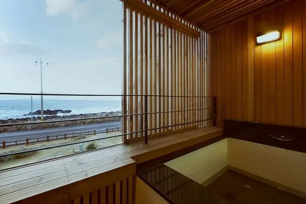 Stüdyo, Okyanus Manzaralı (Hotel Type)