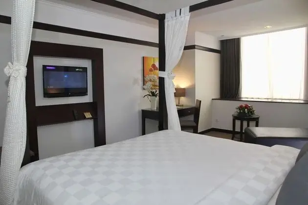 Executive Tek Büyük veya İki Ayrı Yataklı Oda, Sigara İçilebilir, Şehir Manzaralı