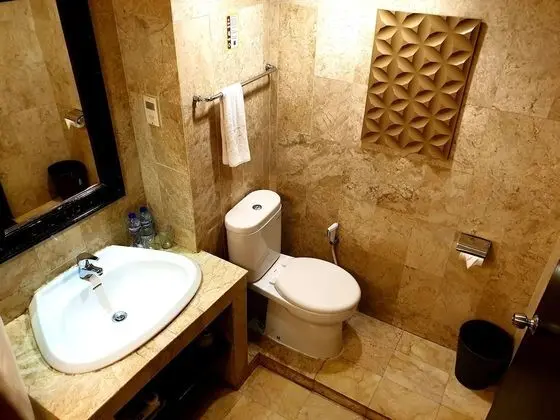 Executive Tek Büyük veya İki Ayrı Yataklı Oda, Sigara İçilebilir, Şehir Manzaralı