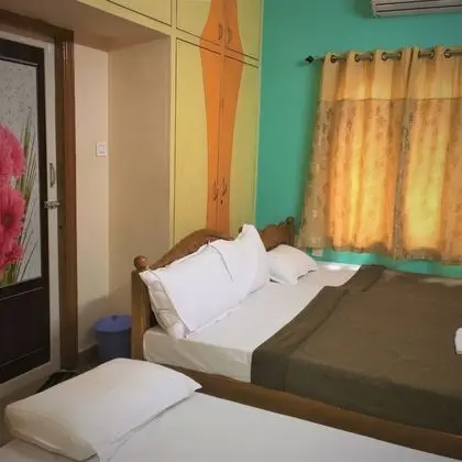 Deluxe Apart Daire, Birden Çok Yatak, Sigara İçilmez, Şehir Manzaralı
