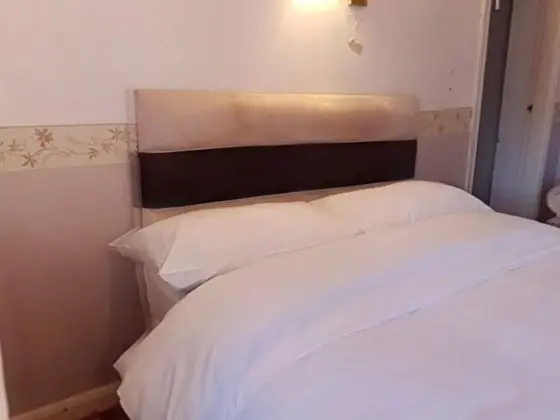 Standard Tek Büyük Yataklı Oda, Özel Banyo (Room 810)