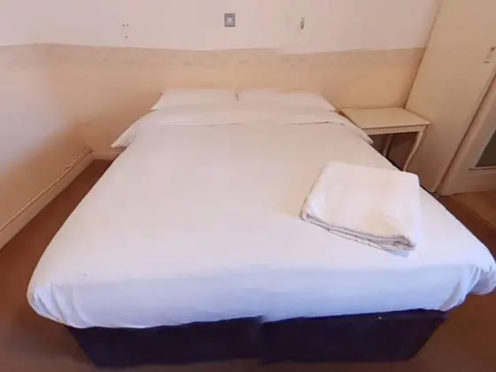 Tek Büyük Yataklı Oda, 1 Çift Kişilik Yatak (Room 809)
