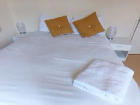 Standard Tek Büyük Yataklı Oda, Ortak Banyo (Room 103)