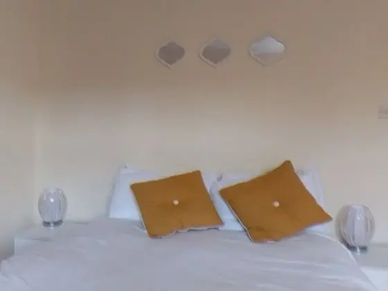 Standard Tek Büyük Yataklı Oda, Ortak Banyo (Room 103)