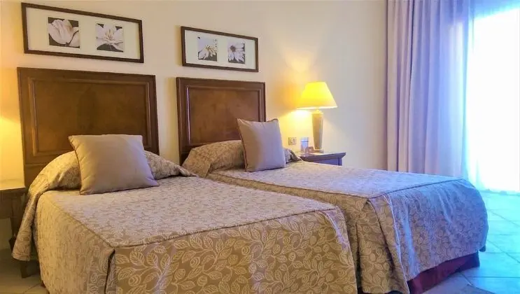 Standard İki Ayrı Yataklı Oda, Bahçe Manzaralı (Almazino)