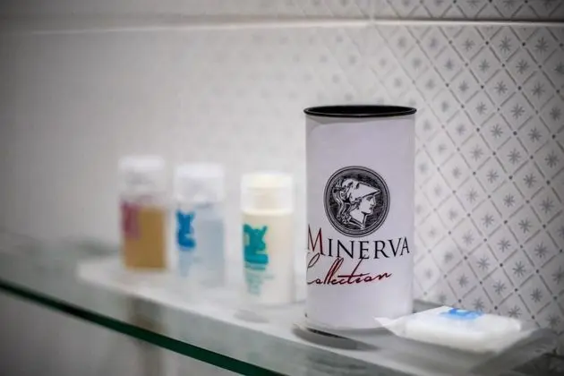 Deluxe Tek Büyük Yataklı Oda, 1 Yatak Odası, Şehir Manzaralı