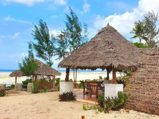 Beach Houses