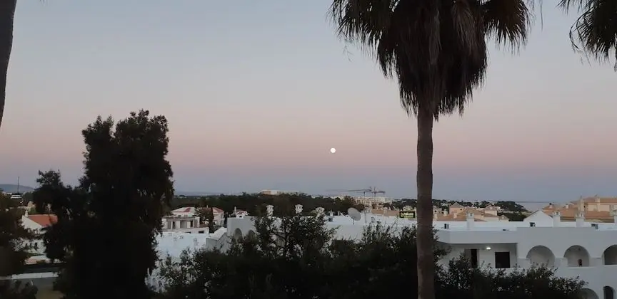 Panoramic Stüdyo Süit, Havuz Manzaralı, Havuz Kenarı