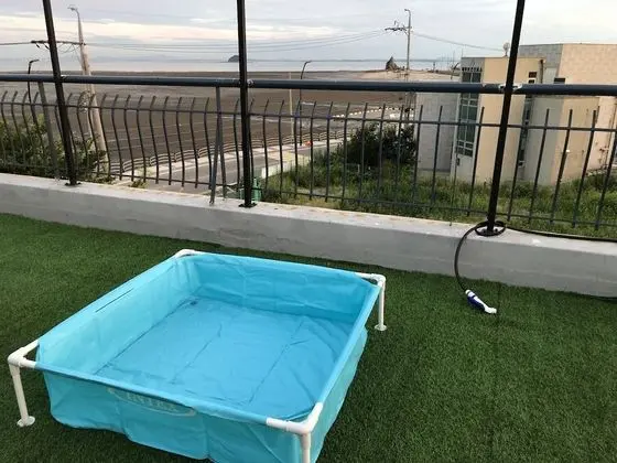 Oda, Okyanus Manzaralı (3F Sky Garden)