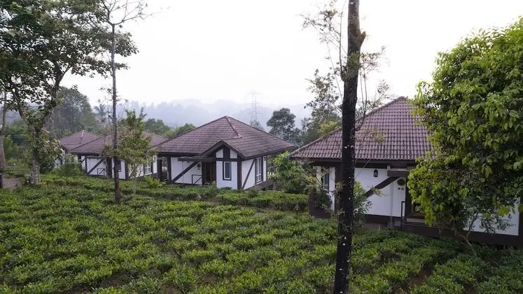 Family Oda (Plantation Cottage)