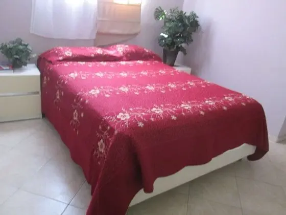 Tek Kişilik Oda, 1 Büyük (Queen) Boy Yatak