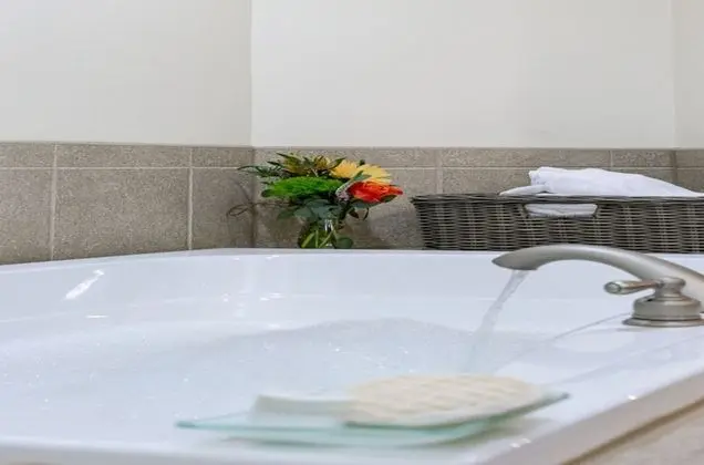 Premium Süit, 1 En Büyük (King) Boy Yatak, Sigara İçilmez, Sıcak Su Küveti