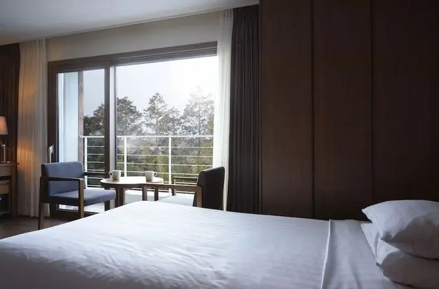 Deluxe İki Ayrı Yataklı Oda, Balkon