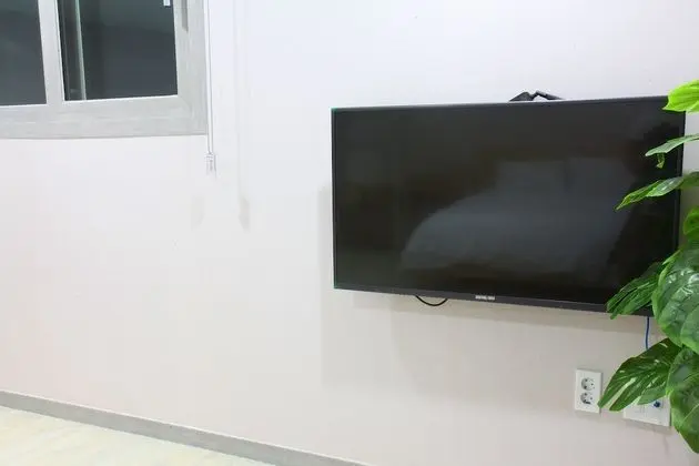 Televizyon