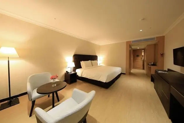 Deluxe Tek Büyük Yataklı Oda (Hotel)