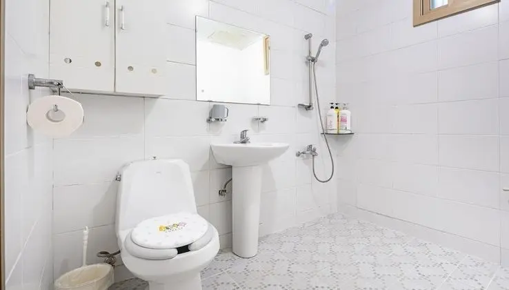 Basic Oda, 1 Yatak Odası (Big Room (101ho))