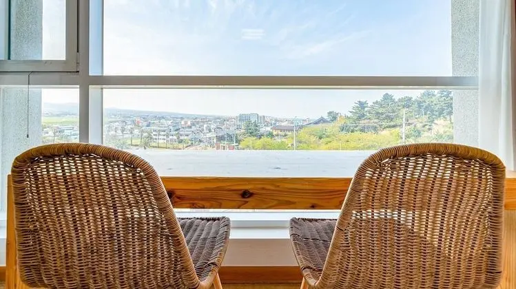 Basic Oda, 1 Yatak Odası (double room city view-509)