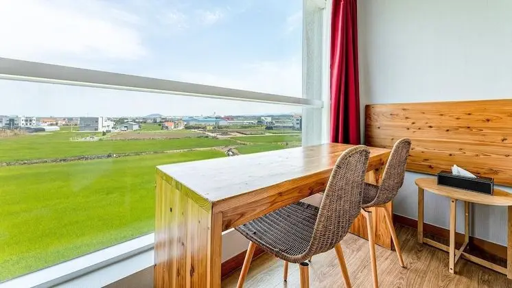 Basic Oda, 1 Yatak Odası (double room nonview-501)