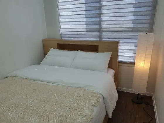 Hoga 204