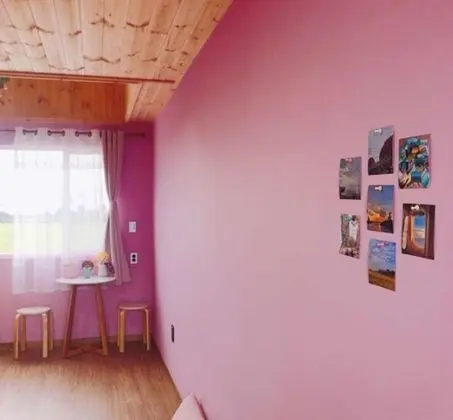 Oda (Pink Dong)