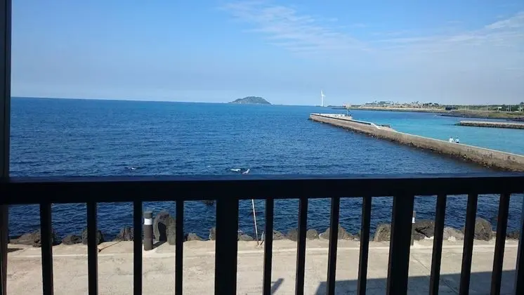 Oda, Okyanus Manzaralı (1F)