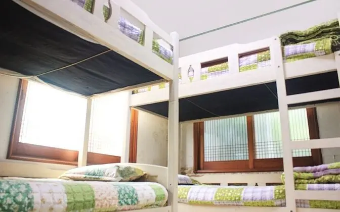 Oda (4 Male Dorm)